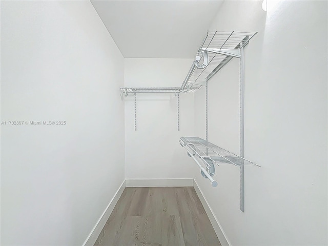walk in closet with light wood finished floors