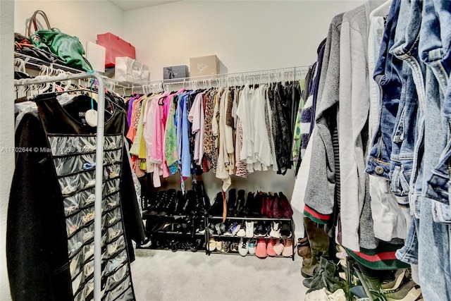 walk in closet featuring carpet flooring