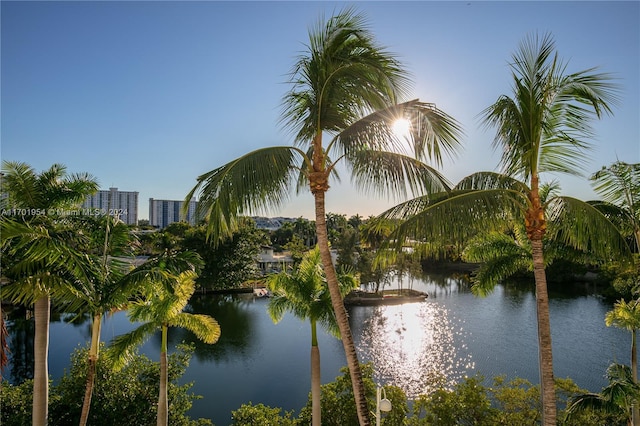 property view of water