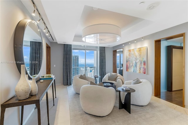 living room with rail lighting and a tray ceiling