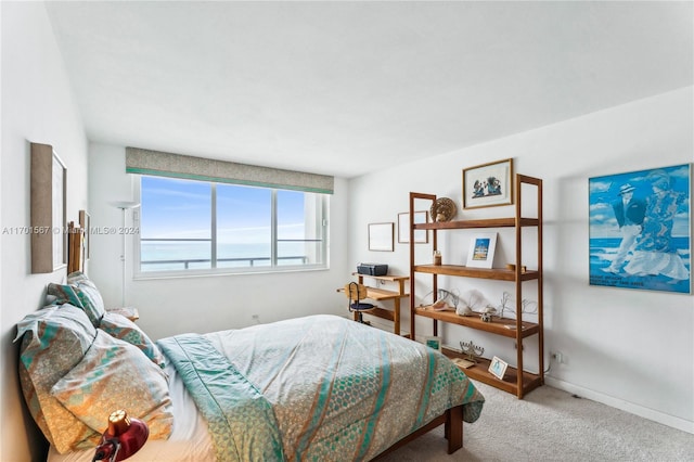 carpeted bedroom with a water view