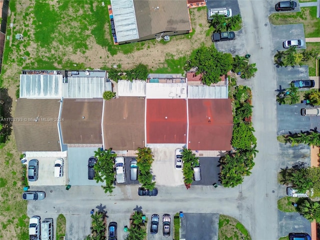 bird's eye view