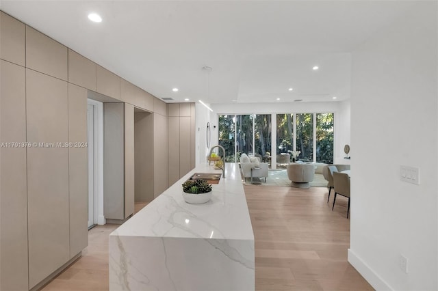 interior space featuring gray cabinets, light stone counters, sink, and light hardwood / wood-style flooring