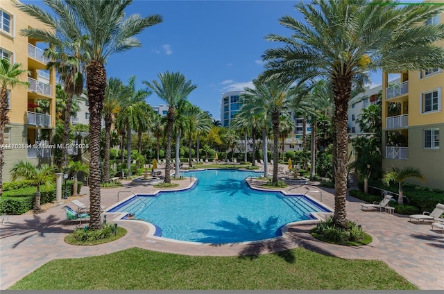 view of pool featuring a patio area