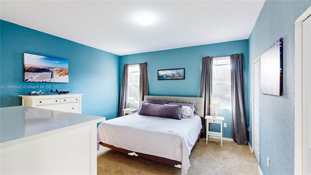 view of carpeted bedroom