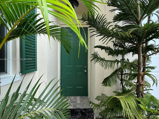 view of doorway to property