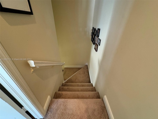 stairway with carpet floors