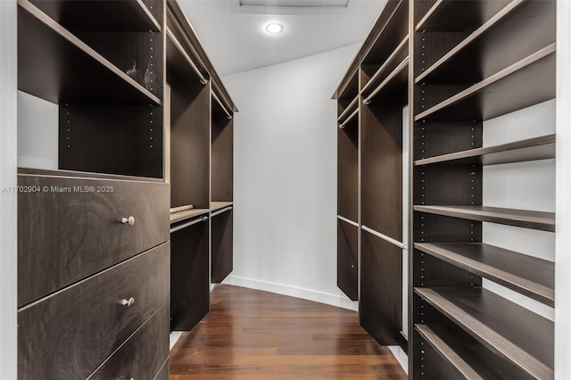 walk in closet featuring dark hardwood / wood-style flooring