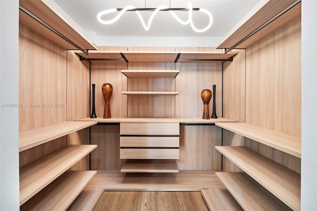 spacious closet with light wood-type flooring