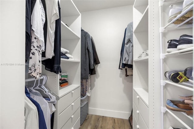 spacious closet featuring wood finished floors