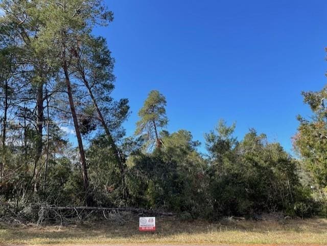 TBD SW 168th Loop, Ocala FL, 34473 land for sale