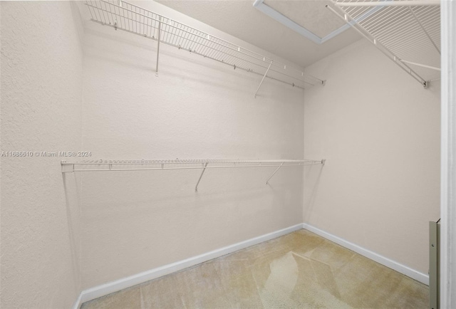 walk in closet featuring carpet flooring