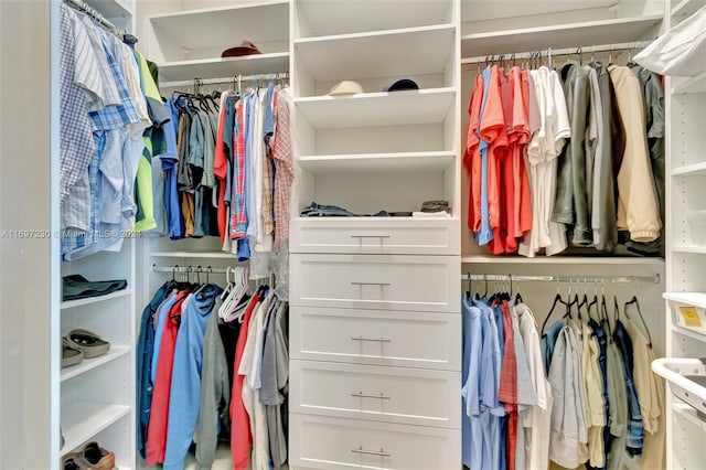 view of spacious closet