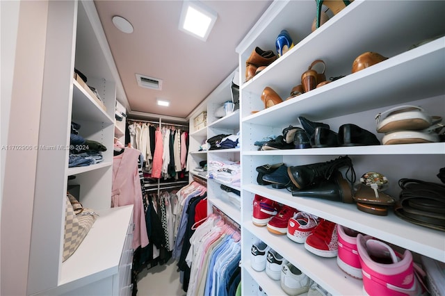 view of spacious closet