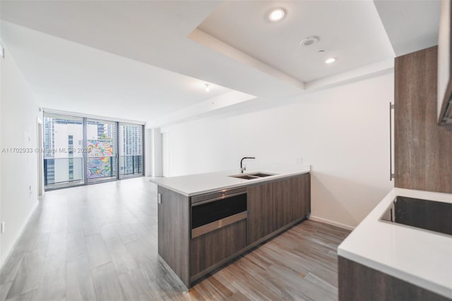 kitchen featuring dark brown cabinetry, sink, a wall of windows, light hardwood / wood-style floors, and black electric cooktop