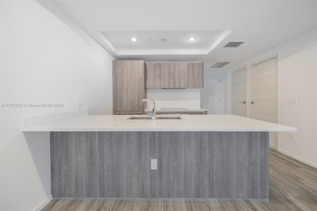 kitchen featuring light hardwood / wood-style floors, a raised ceiling, kitchen peninsula, and sink