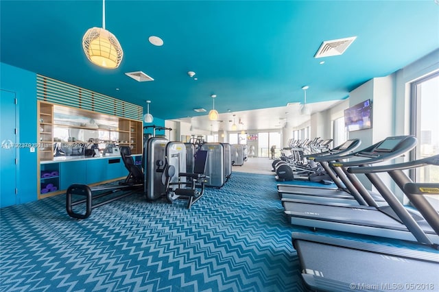 workout area featuring carpet floors