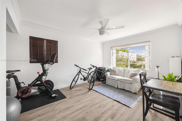 exercise room featuring ceiling fan, crown molding, and light hardwood / wood-style flooring