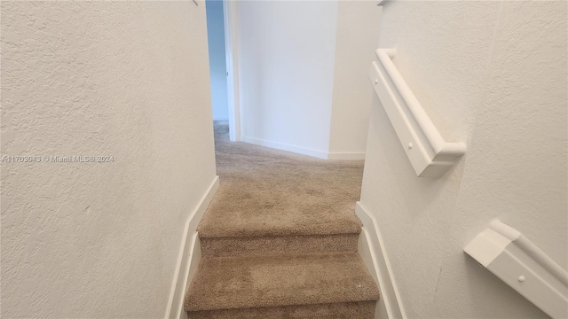 staircase featuring carpet floors