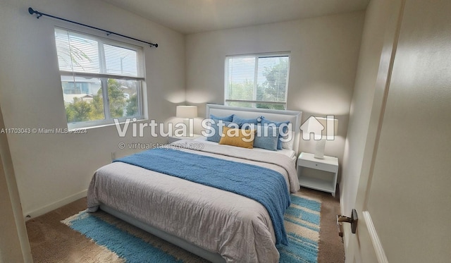 carpeted bedroom with multiple windows