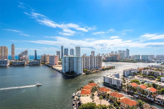 birds eye view of property featuring a city view and a water view