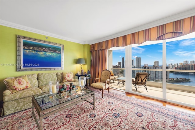 living room with hardwood / wood-style floors, a water view, and crown molding