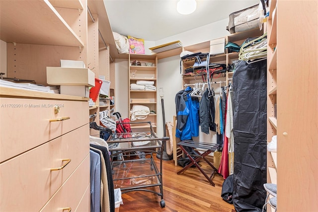 walk in closet with hardwood / wood-style flooring