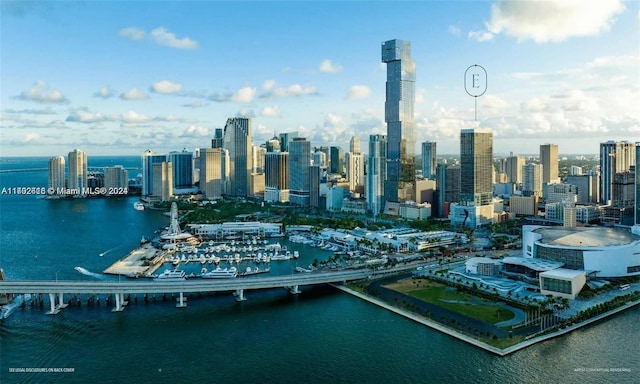 property's view of city with a water view