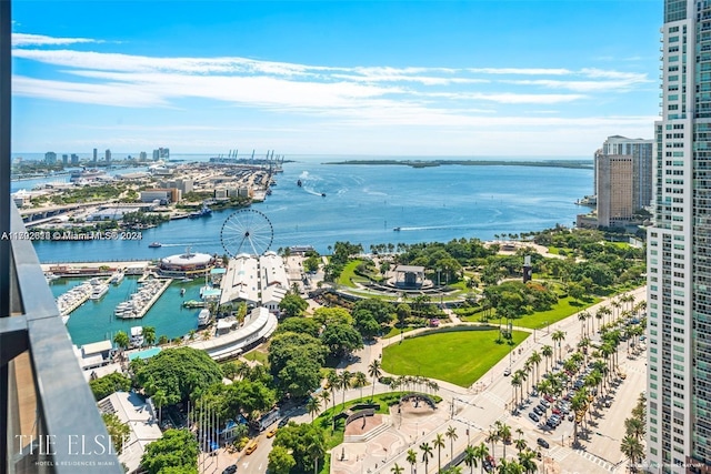 bird's eye view with a water view