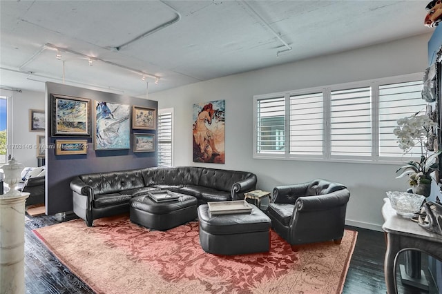 living room featuring dark hardwood / wood-style flooring and track lighting