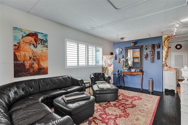 living room featuring wood-type flooring