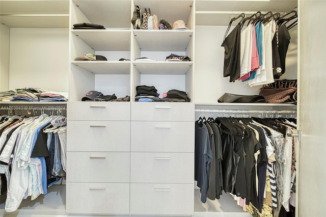 view of spacious closet