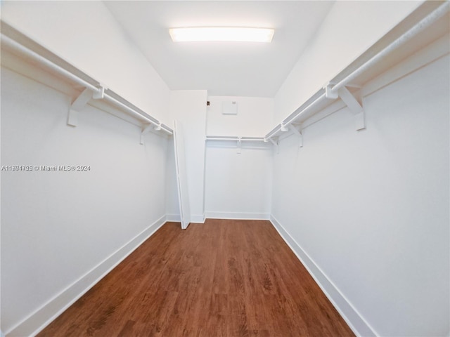 spacious closet with wood-type flooring