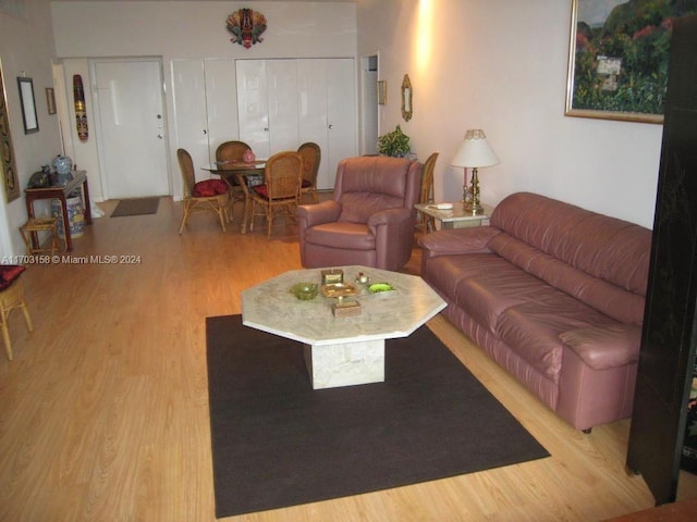 living room featuring light hardwood / wood-style floors