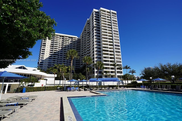 view of pool with a patio