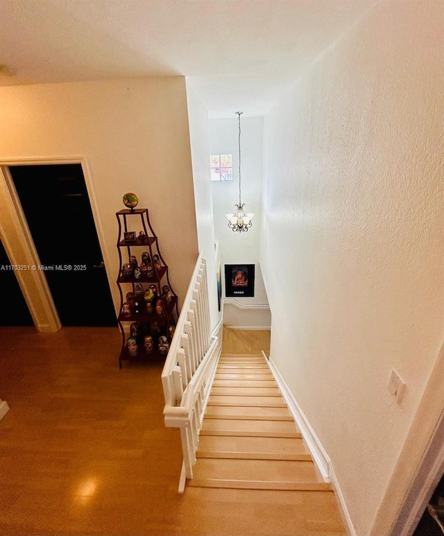 8778 SW 222nd Ter, Cutler Bay, FL 33190 - photo 33