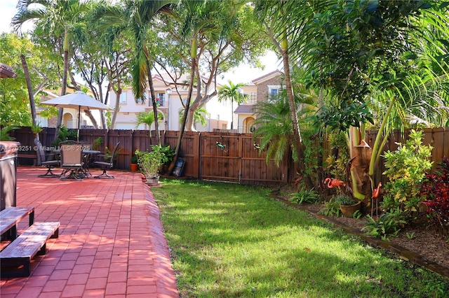 view of yard featuring a patio area and a fenced backyard