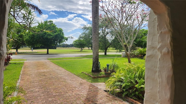 view of community featuring a yard