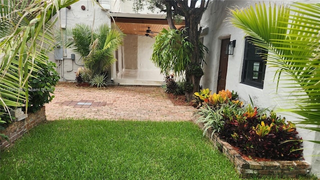 view of yard featuring ceiling fan