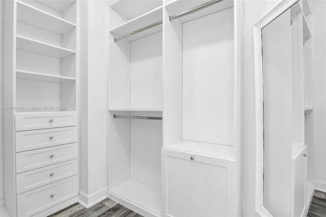 spacious closet with dark wood-type flooring