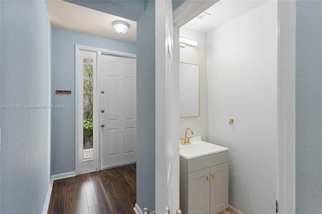 foyer entrance featuring dark hardwood / wood-style floors and sink