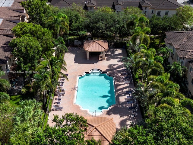 view of swimming pool featuring a patio