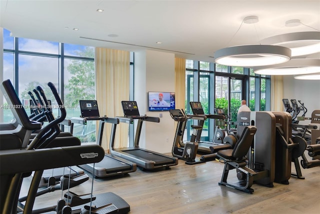 gym with a wall of windows and light hardwood / wood-style flooring