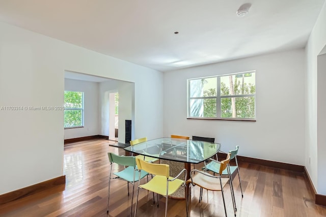 dining space featuring hardwood / wood-style flooring