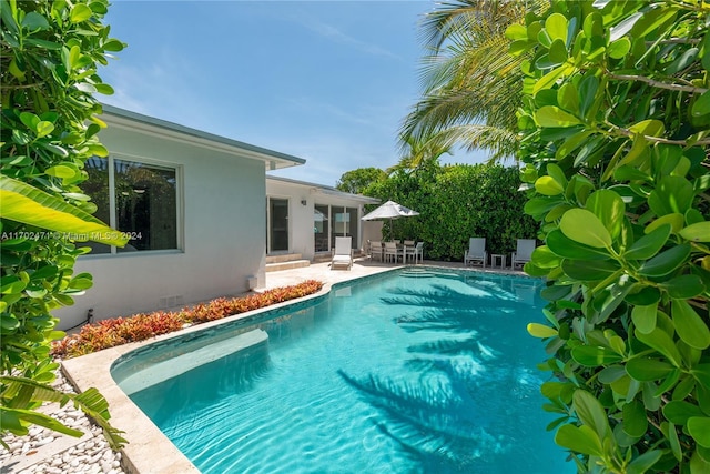 view of swimming pool with a patio area