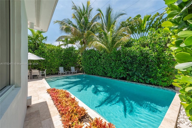 view of swimming pool with a patio area