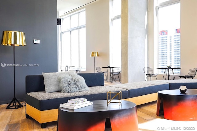 living room featuring hardwood / wood-style floors and a healthy amount of sunlight