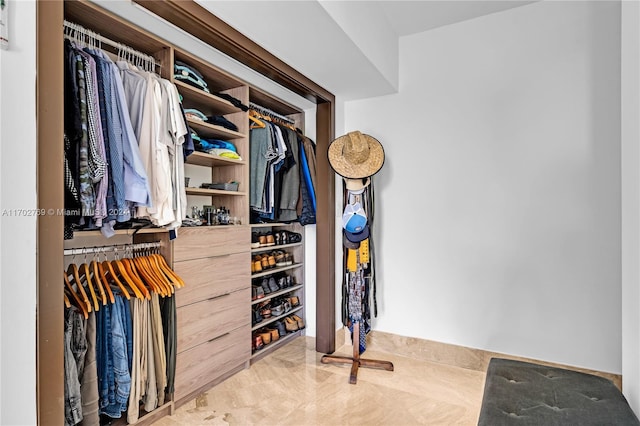 view of spacious closet