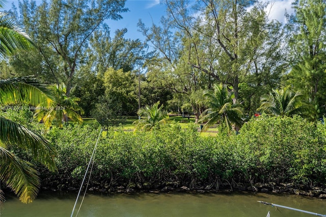 property view of water