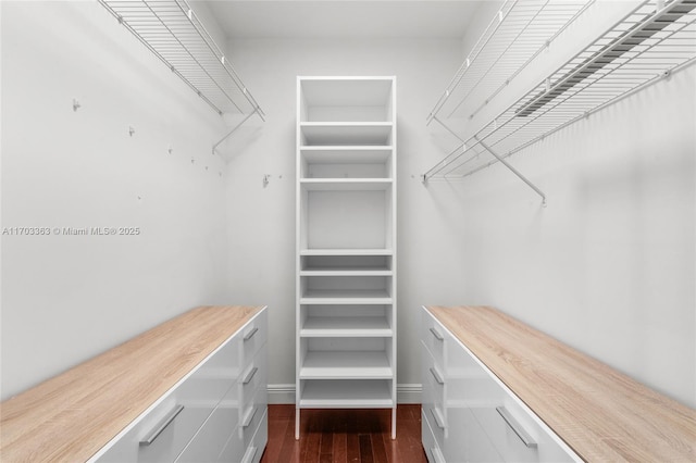 walk in closet with dark wood-type flooring